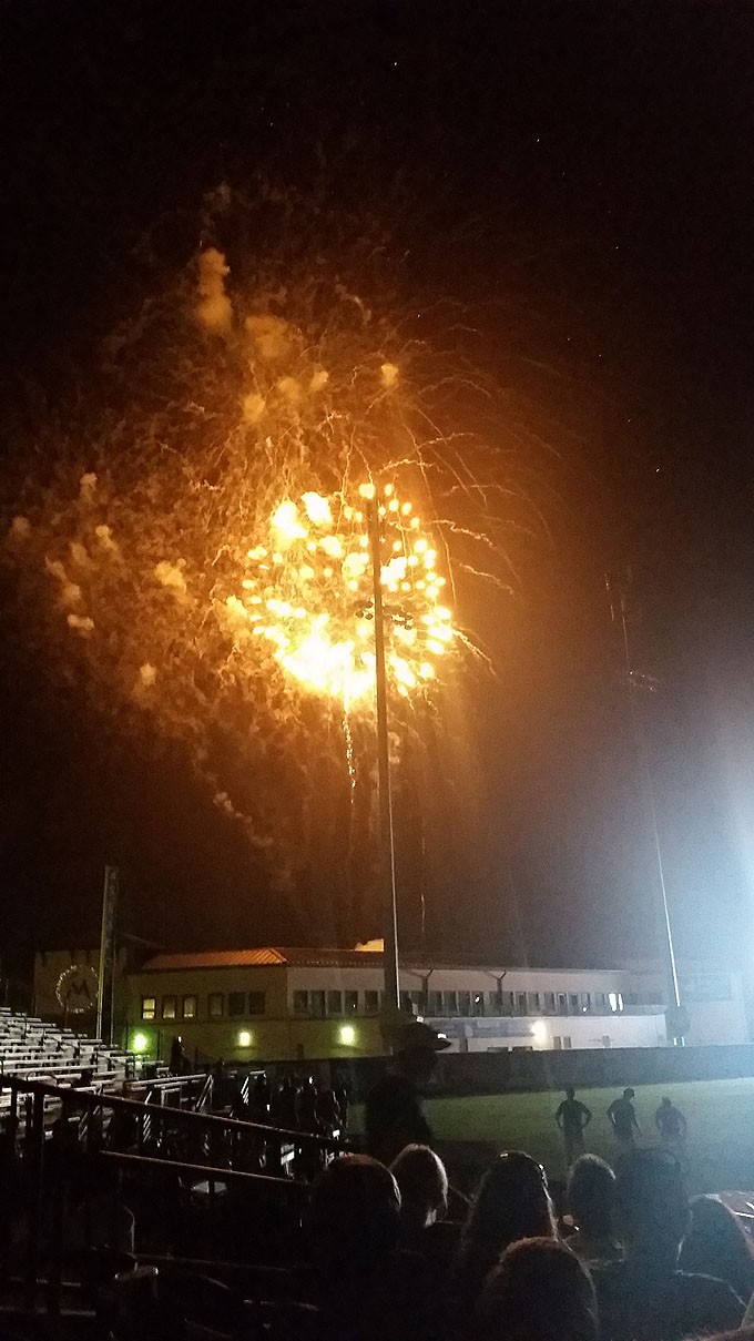 Roger Dean- Life Food and Beer
